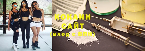 ГАЛЛЮЦИНОГЕННЫЕ ГРИБЫ Аркадак