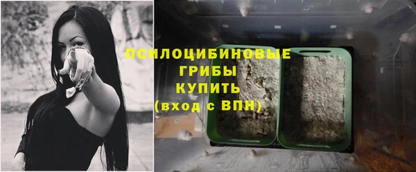 ГАЛЛЮЦИНОГЕННЫЕ ГРИБЫ Аркадак