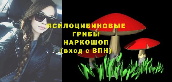 ГАЛЛЮЦИНОГЕННЫЕ ГРИБЫ Аркадак