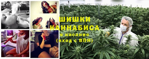 крисы Арсеньев