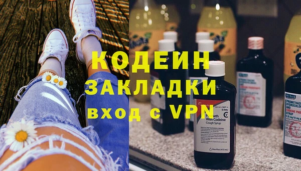 ГАЛЛЮЦИНОГЕННЫЕ ГРИБЫ Аркадак