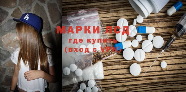 ГАЛЛЮЦИНОГЕННЫЕ ГРИБЫ Аркадак