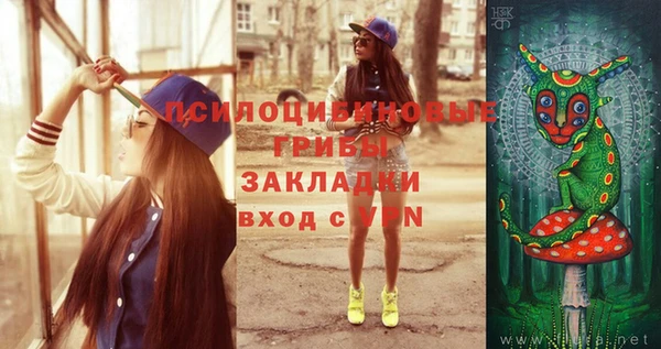 ГАЛЛЮЦИНОГЕННЫЕ ГРИБЫ Аркадак