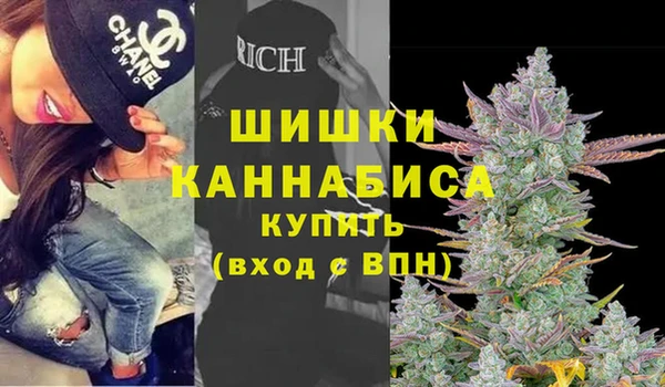 ГАЛЛЮЦИНОГЕННЫЕ ГРИБЫ Аркадак