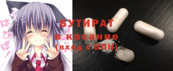 индика Алексин