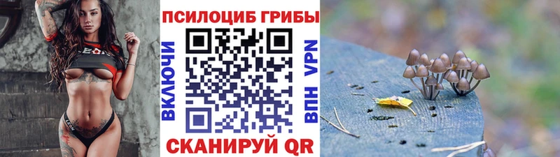купить наркоту Саки маркетплейс какой сайт Галлюциногенные грибы ЛСД